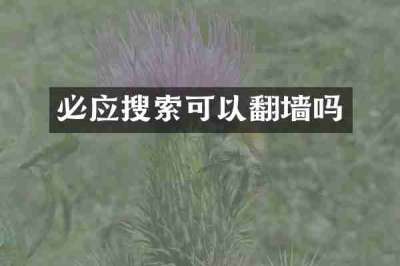 必应搜索可以翻墙吗