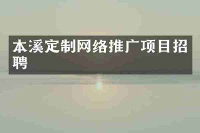 本溪定制网络推广项目招聘