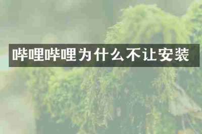 哔哩哔哩为什么不让安装
