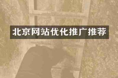 北京网站优化推广推荐