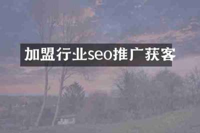 加盟行业seo推广获客
