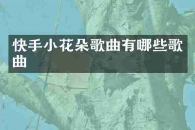 快手小花朵歌曲有哪些歌曲