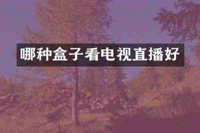 哪种盒子看电视直播好