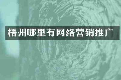 梧州哪里有网络营销推广