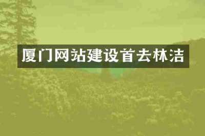 厦门网站建设首去林洁