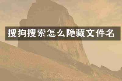 搜狗搜索怎么隐藏文件名