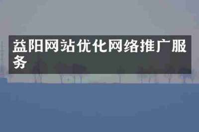 益阳网站优化网络推广服务