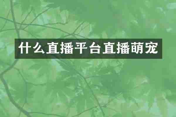 什么直播平台直播萌宠