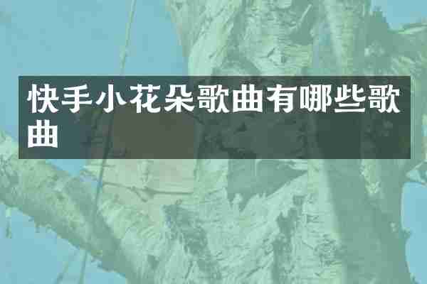 快手小花朵歌曲有哪些歌曲
