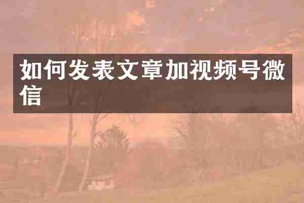 如何发表文章加视频号微信
