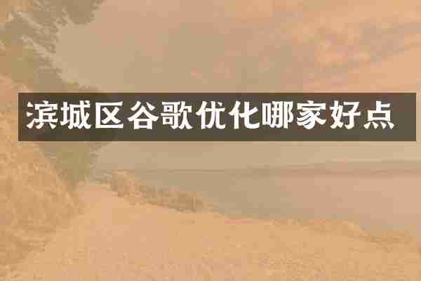 滨城区谷歌优化哪家好点