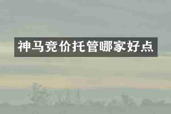 神马竞价托管哪家好点