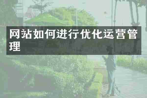网站如何进行优化运营管理