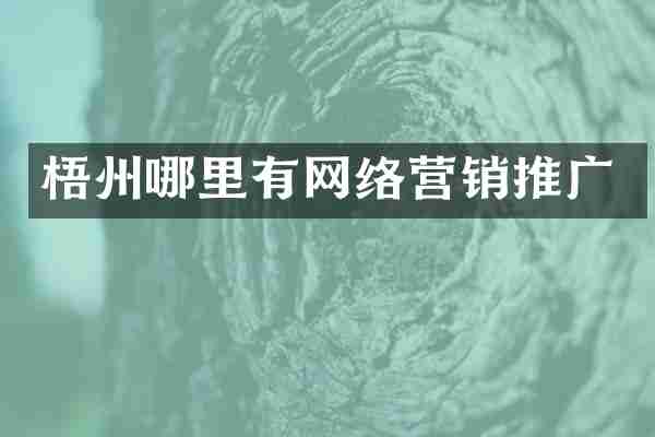 梧州哪里有网络营销推广