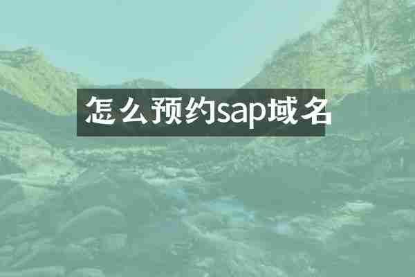 怎么预约sap域名