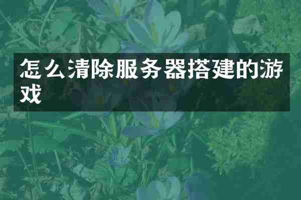 怎么清除服务器搭建的游戏