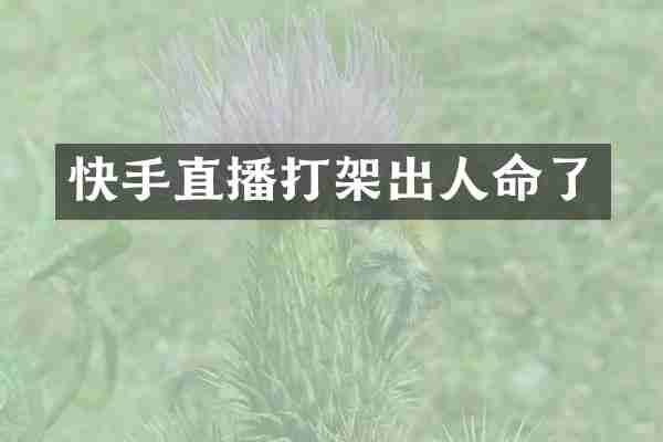 快手直播打架出人命了