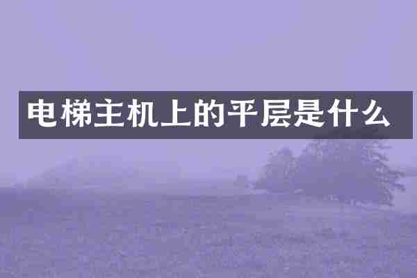 电梯主机上的平层是什么