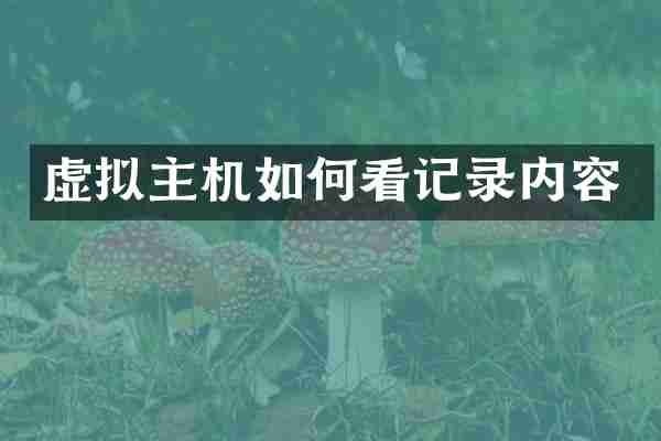 虚拟主机如何看记录内容