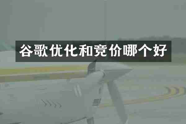 谷歌优化和竞价哪个好