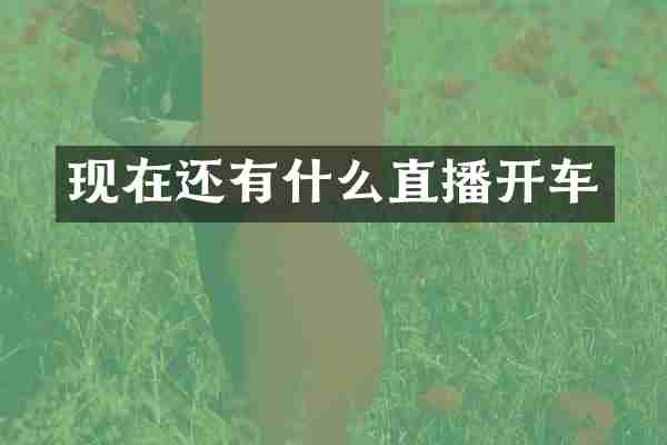 现在还有什么直播开车