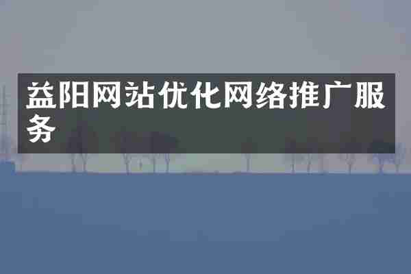 益阳网站优化网络推广服务