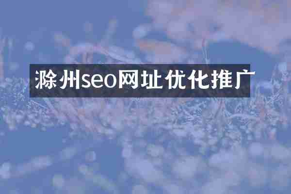 滁州seo网址优化推广