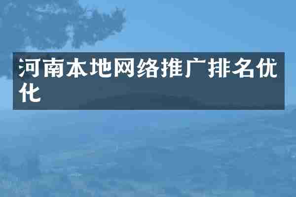 河南本地网络推广排名优化
