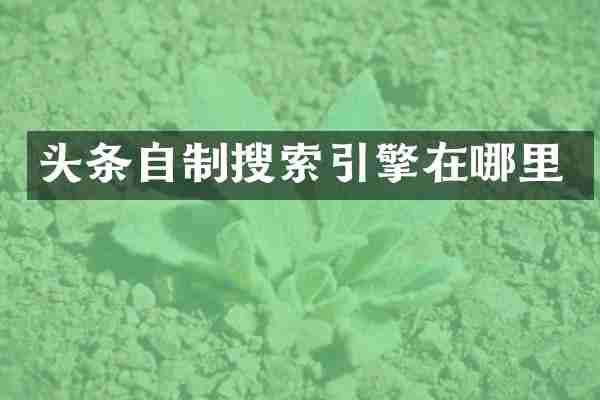 头条自制搜索引擎在哪里