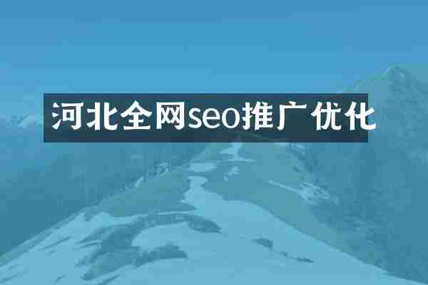 河北全网seo推广优化