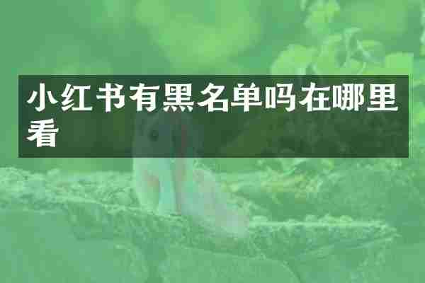 小红书有黑名单吗在哪里看
