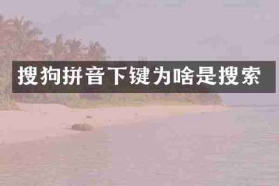 搜狗拼音下键为啥是搜索