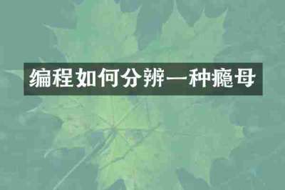编程如何分辨一种瘾母