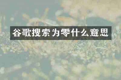 谷歌搜索为零什么意思