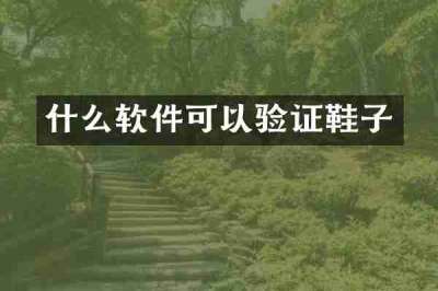 什么软件可以验证鞋子