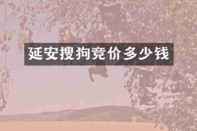 延安搜狗竞价多少钱
