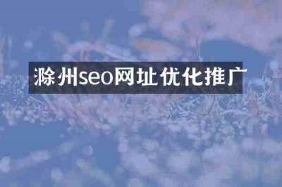 滁州seo网址优化推广