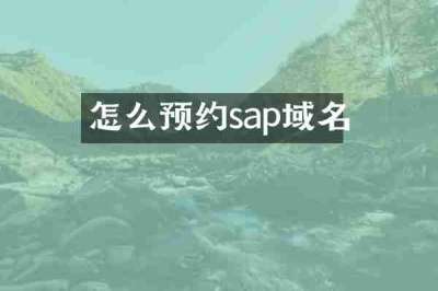 怎么预约sap域名