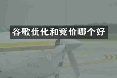 谷歌优化和竞价哪个好