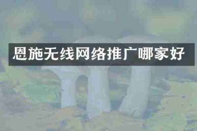 恩施无线网络推广哪家好