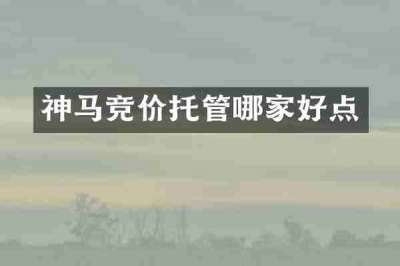 神马竞价托管哪家好点