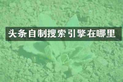 头条自制搜索引擎在哪里
