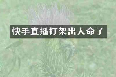 快手直播打架出人命了
