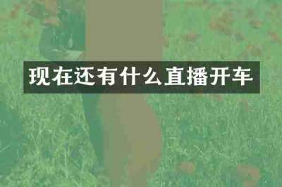 现在还有什么直播开车