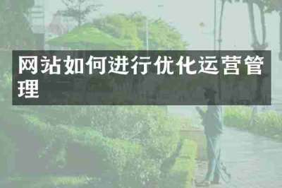 网站如何进行优化运营管理