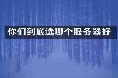 你们到底选哪个服务器好