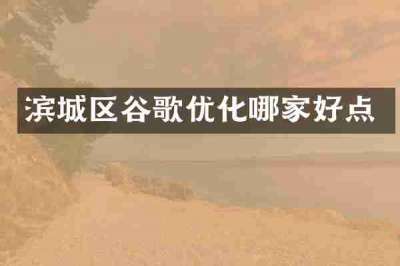 滨城区谷歌优化哪家好点