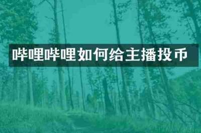 哔哩哔哩如何给主播投币