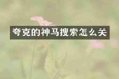 夸克的神马搜索怎么关