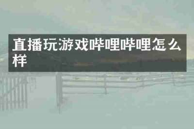 直播玩游戏哔哩哔哩怎么样